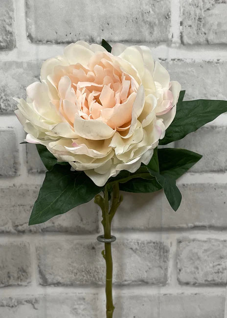 23" BLUSH FRESH TOUCH PEONY STEM