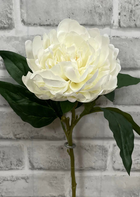 23" CREAM FRESH TOUCH PEONY STEM