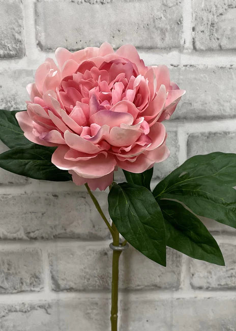 23" PINK FRESH TOUCH PEONY STEM