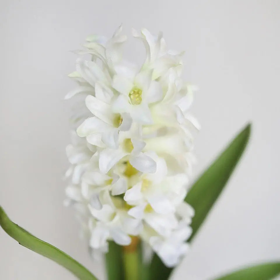 Cream White Hyacinth 12.5”