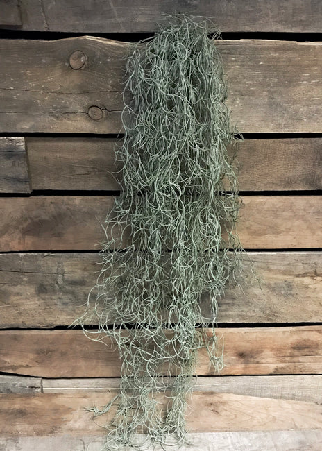 32" ARTIFICIAL SPANISH MOSS HANGING BUSH - GREEN