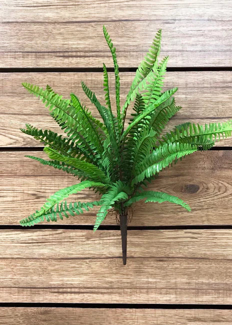 19" BOSTON FERN BUSH