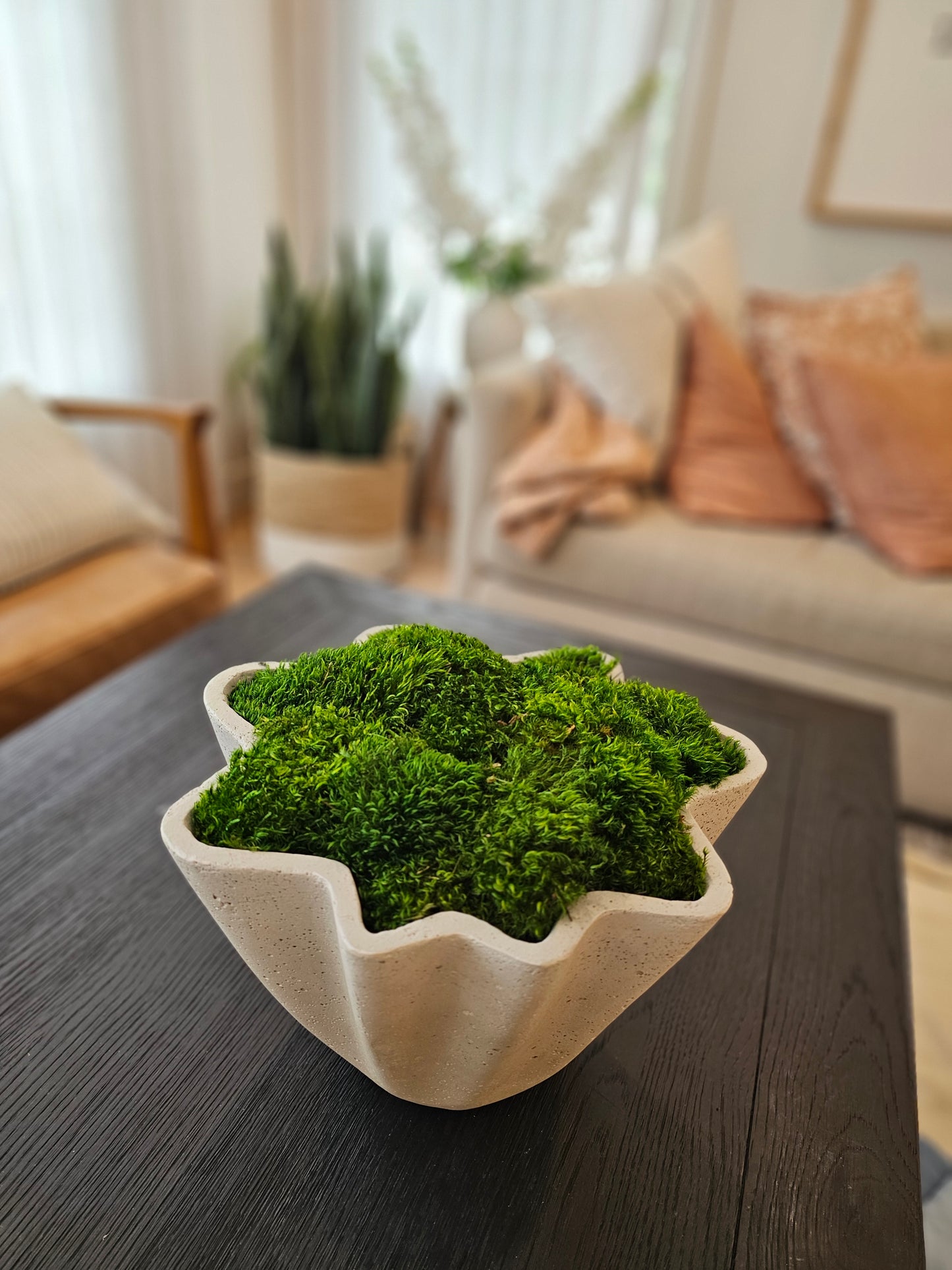 Scalloped Moss Concrete Bowl