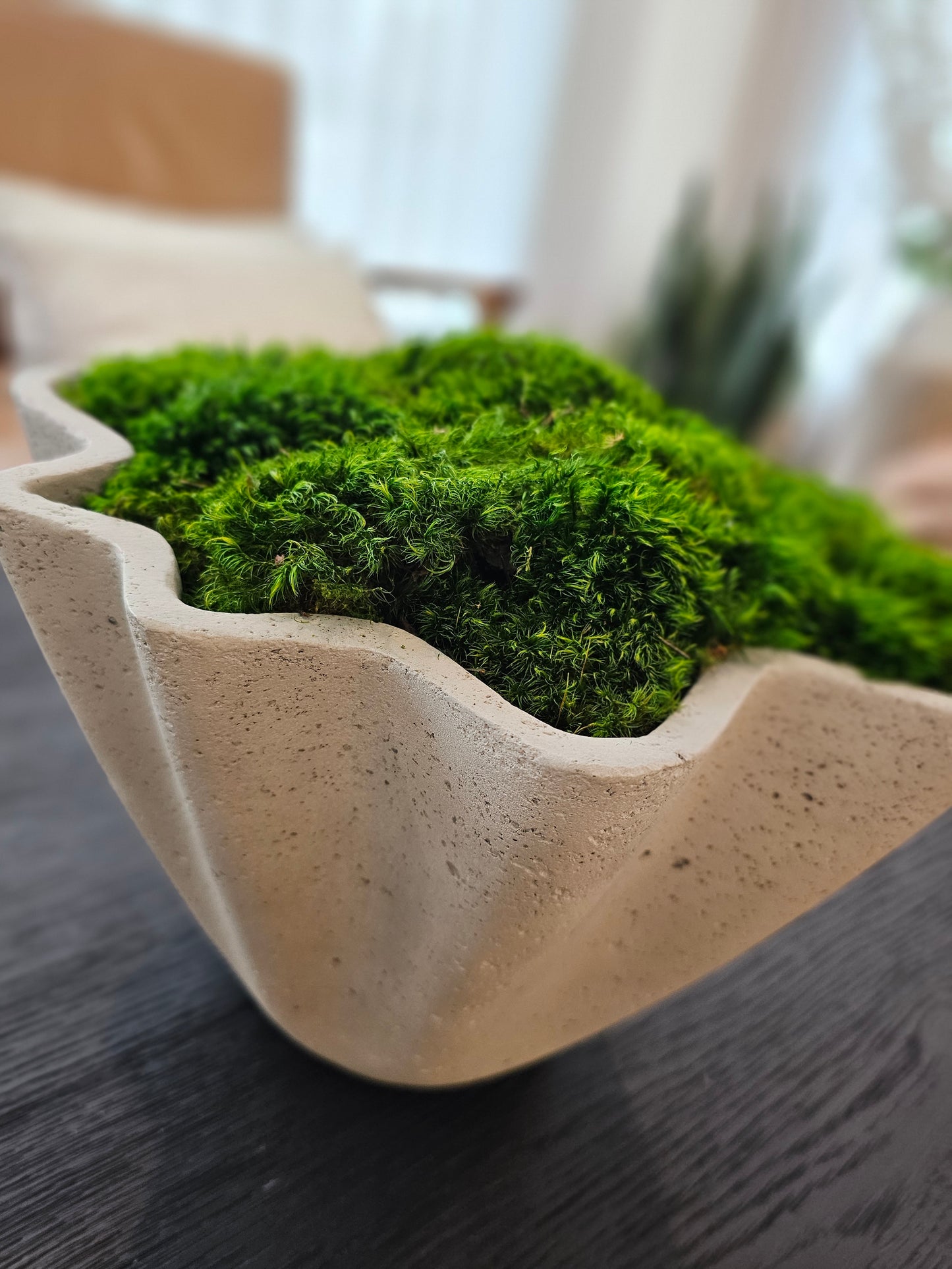 Scalloped Moss Concrete Bowl