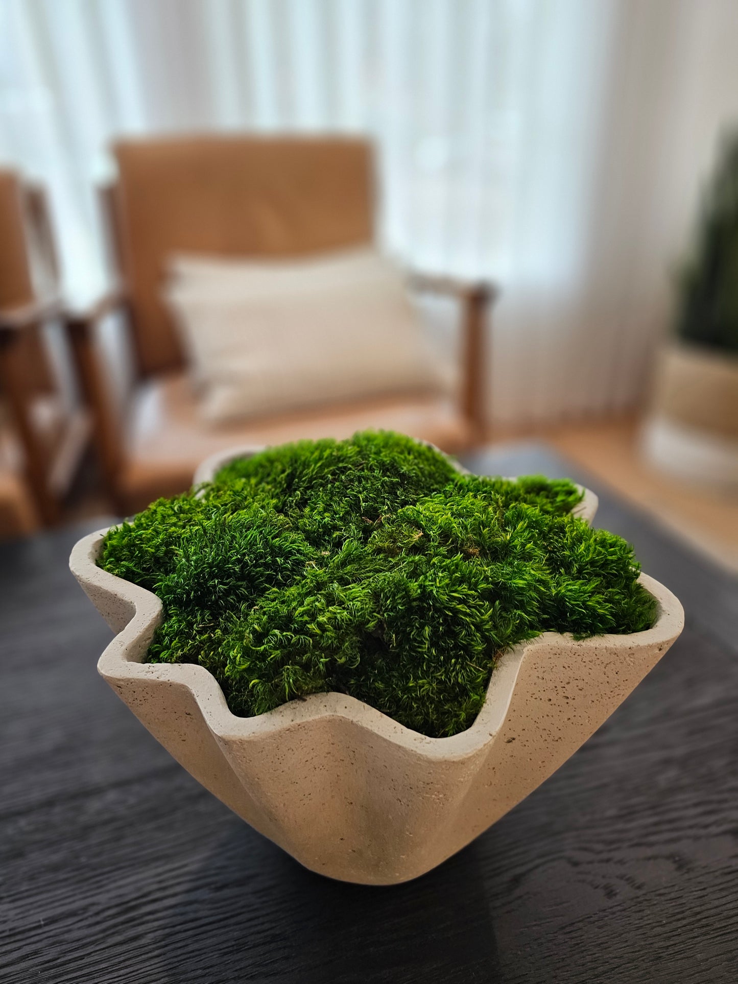 Scalloped Moss Concrete Bowl