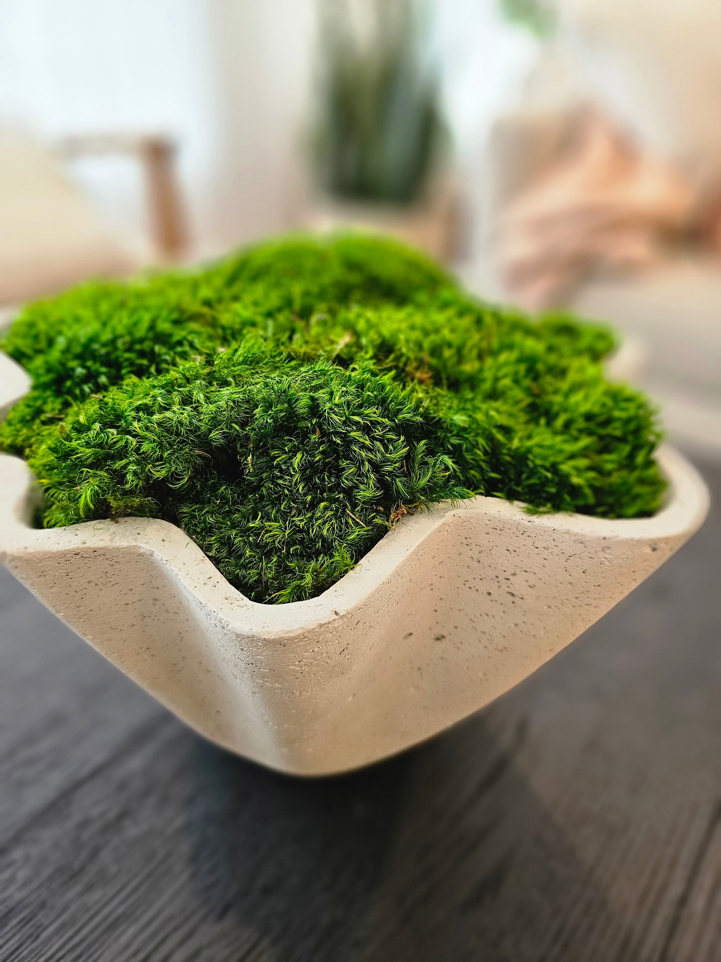 Scalloped Moss Concrete Bowl