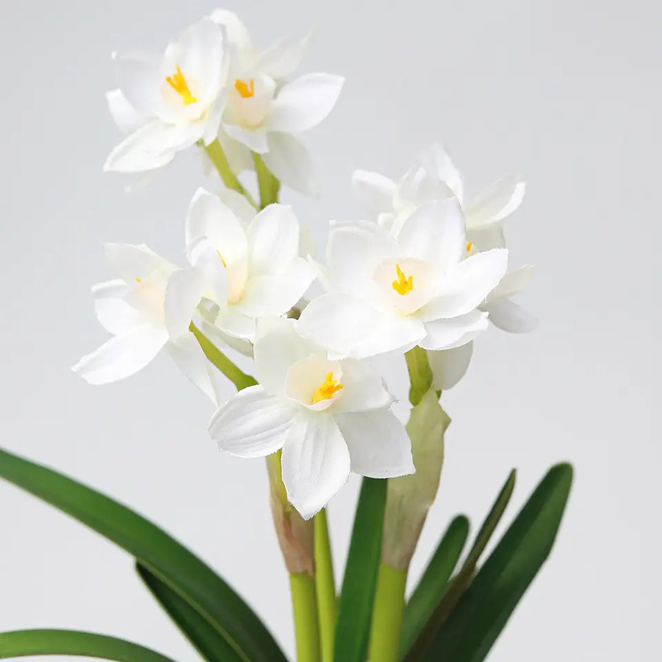 Real Touch White Narcissus 13”