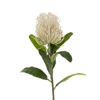 Pin Cushion Floral Stem |White