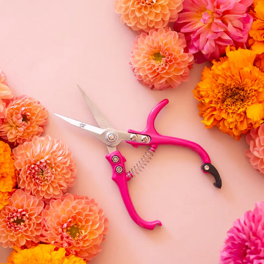 Pruning Shears | Hibiscus