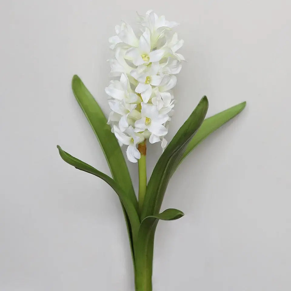 Cream White Hyacinth 12.5”