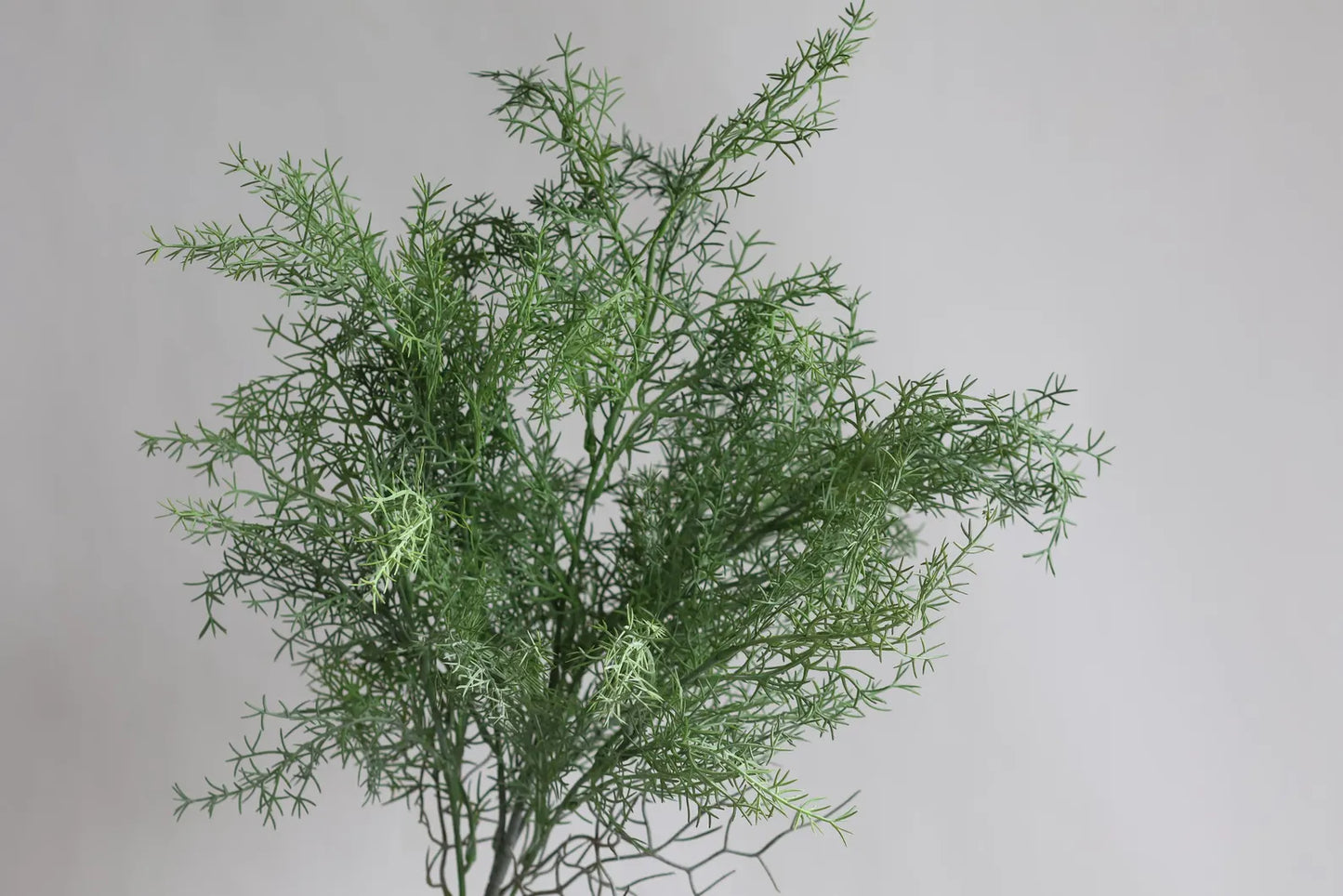 Faux Asparagus Fern Greenery Stem